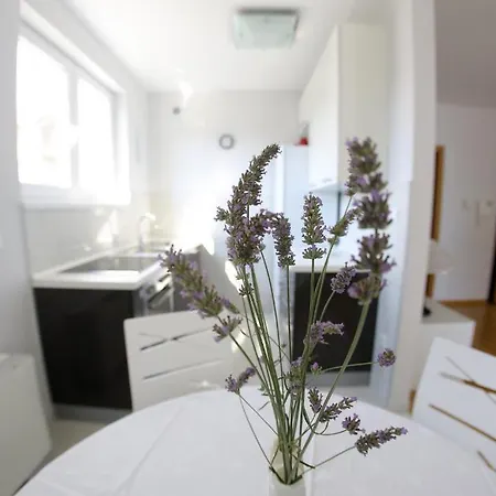 Lila Apartmán Zadar
