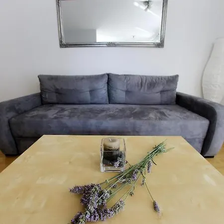 Apartment Lila